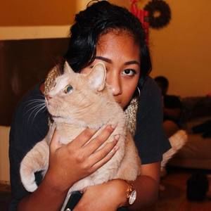 Meet your Posher, Beau